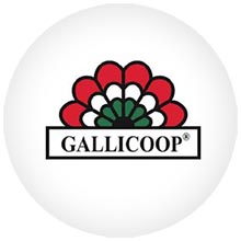 gallicoop